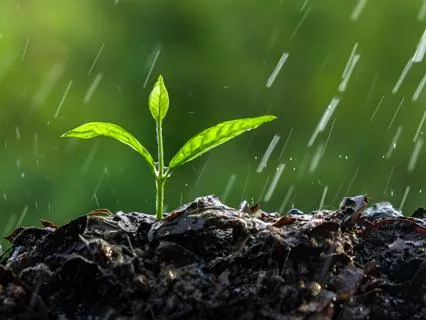 R.A.I.N Returning Home