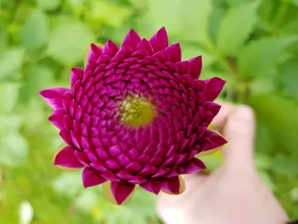 Ra Ma Da Sa - Mantra for Healing