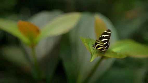 Ra Ma Da Sa: Mantra For Reconnection  - 30 Min Daily Insight