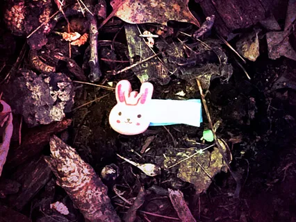 Rabbit Hole - Reclaiming Your Self Confidence 