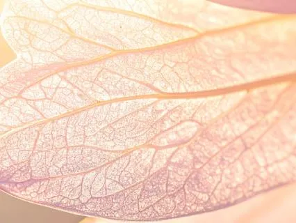 Racing Thoughts To Peaceful Mind - Beginner Meditation