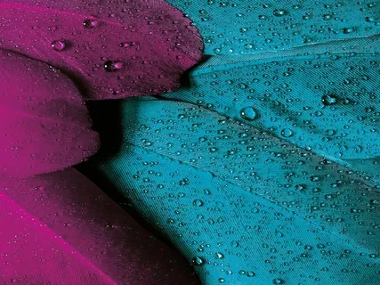 Radiance-Prayer To The Goddess Saraswati