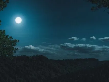 Radiance & Self-Expression