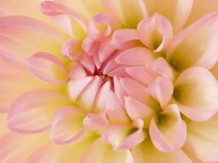 Radiant Aura Affirmations