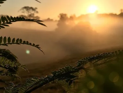 Radiant Morning Meditation