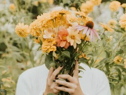 Radiant Summer Stillness: Guided Meditation for Gratitude