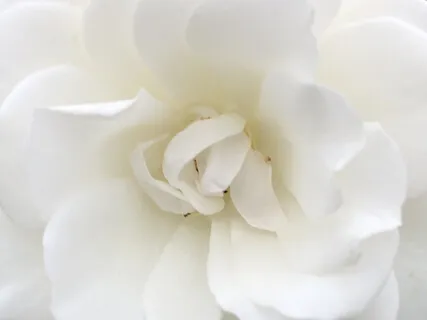 Radiant Sun Meditation