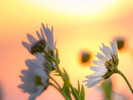 Radiate Biggest Positive Energy: Morning Meditation