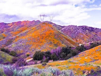 Radiate Confidence: Believe In Yourself Today | 40 Hz