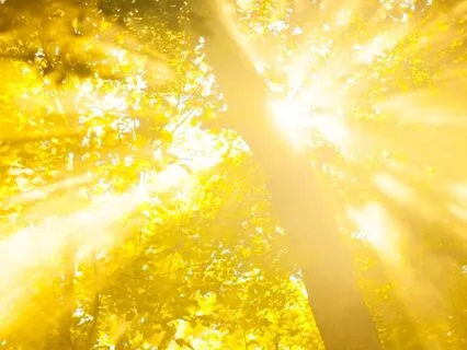 Radiate Love Abundance & Joy