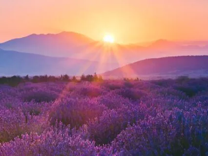 Radiate Loving-Kindness: A Metta Meditation For Inner Peace