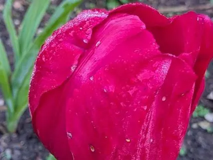 Radiate | Mindful Motivation