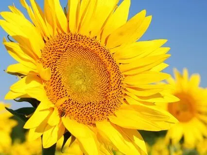 Radiate Positive Energy | Heartfelt Harmony