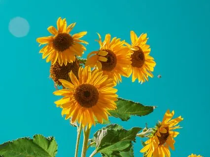 Positive Affirmations