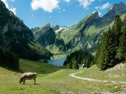 Radiate Vibrance & Vitality - Morning Energy Charge