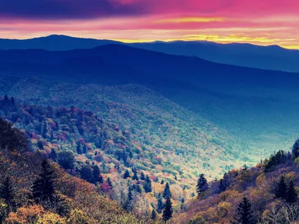 Radiating Brilliance