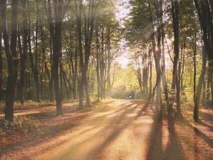 Radiating Gratitude: A Gentle Practice For Joy