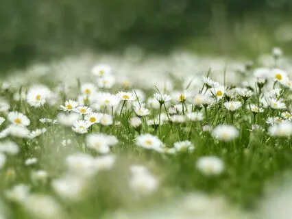 Radiating Gratitude: A Journey Of Self-Exploration