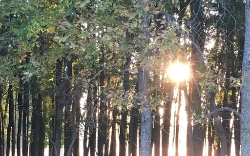 Radiating Love & Acceptance