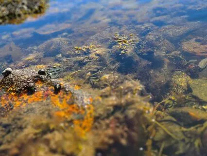 Radiating Love For Reducing Tension