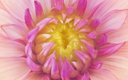 Radiating Love 432Hz