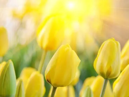 Radiating My Divine Blueprint To The World