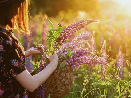 Radiating Positivity: Uplift Your Vibe