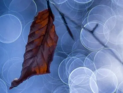 Radiating Self-Love : Time-Friendly Affirmations