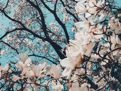 Radiating Your Inner Smile