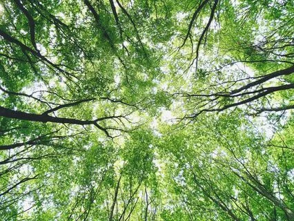 Radical Acceptance For Beginners