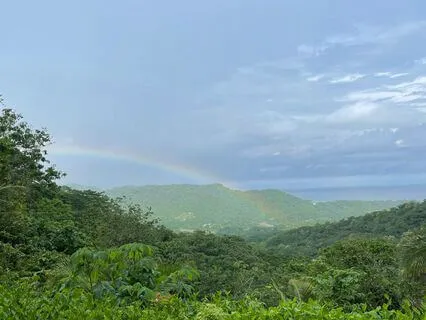 Radical Acceptance For Self-Compassion And Healing