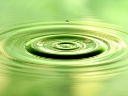 Radical Acceptance: Release Resistance Today