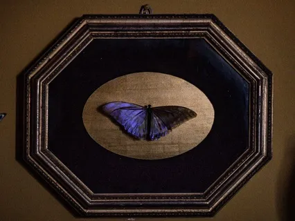 Radical Acceptance-Sitting With Sensations