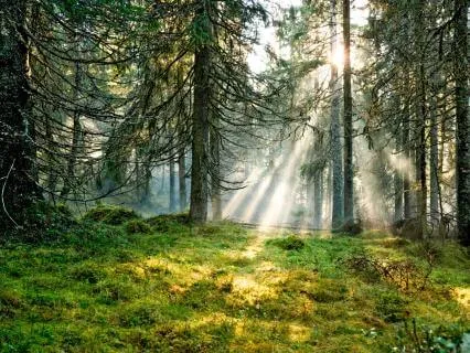 Radical Kindness: A Gentle Practice Of Self-Care & Love