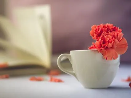 Radical Self Acceptance + 10 Minute Practice