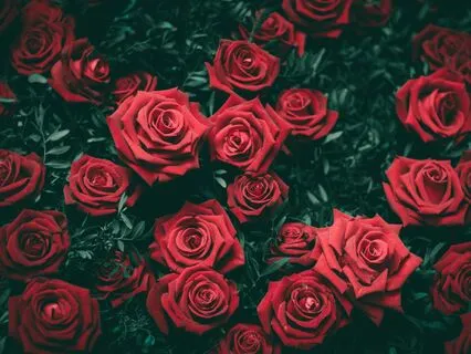 You Are Center Of Your Universe