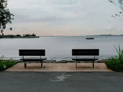 Radically Letting Things Be As They Are