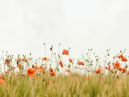 Radient Soul Identity