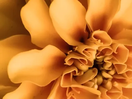 Радость и Благодарность