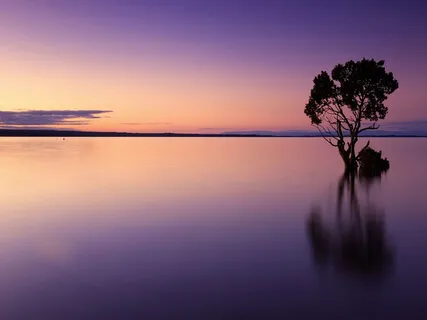 Raggedy Ann Stories - Part Two