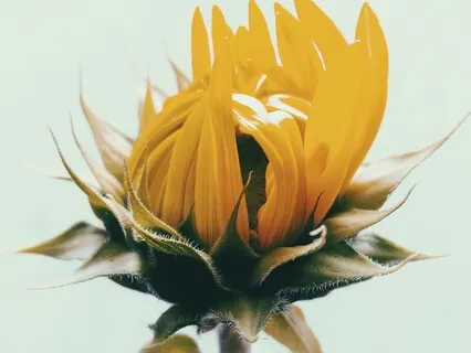 Ragupati Raghav Raja Ram 