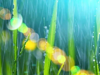 Law Of Attraction | Rain