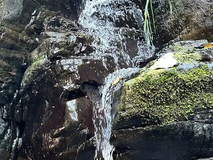 RAIN: A Self Compassion Practice