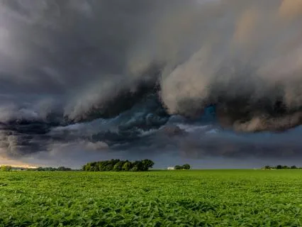 Rain And Distant Thunder Sounds For Sleep