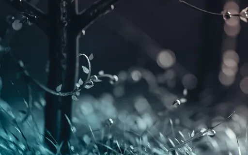 Rain & Peace | Deep Relax | 02 Hours | Sleep, Meditation...