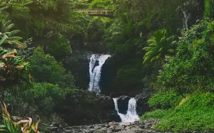 Rain & River Sounds For Sleep