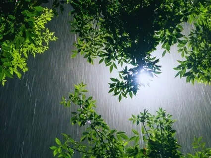 Rain And Thunder For Sleep And Relaxation