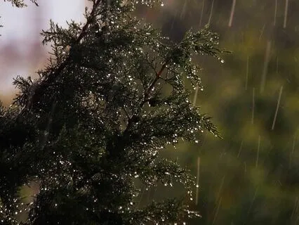 Rain And Thunder | Music For Instant Deep Sleep