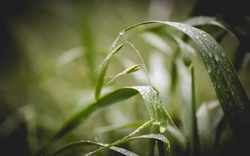 Rain & Thunder Sound - Relaxing Soft Piano