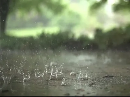 Rain & Thunder Sounds